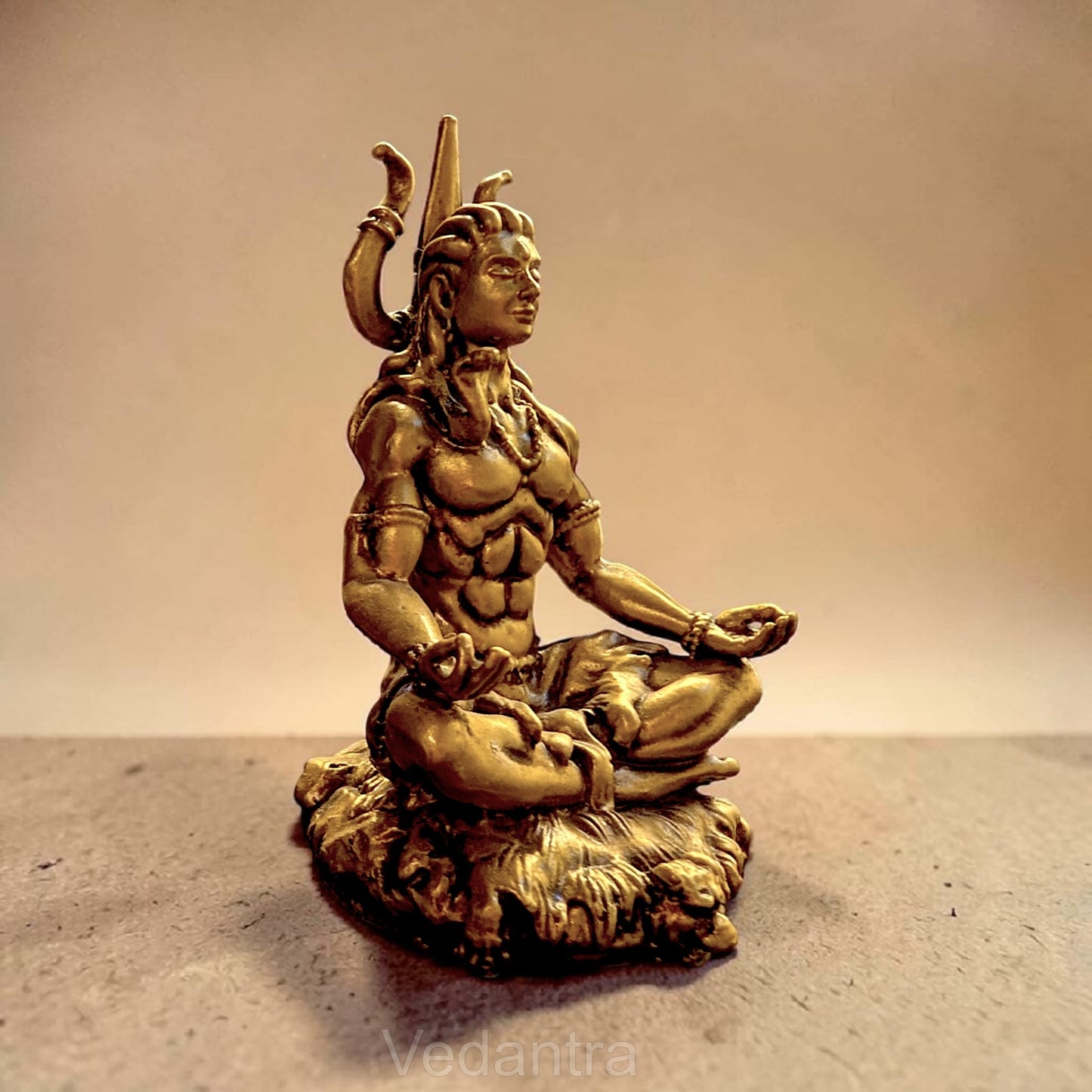 Meditating Lord Shiva